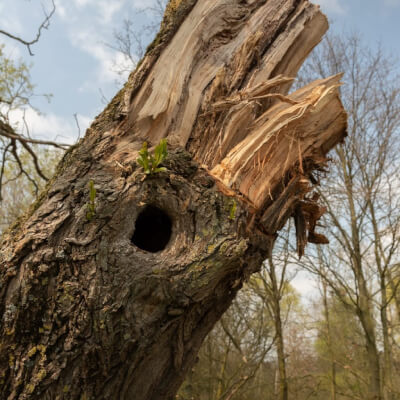 Duurzaam omgaan met je innerlijke klimaat